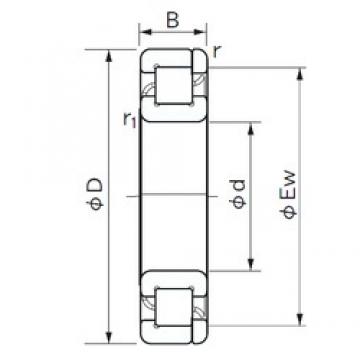 50 mm x 80 mm x 16 mm  NACHI NP 1010 цилиндрические роликоподшипники