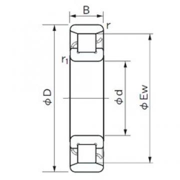 70 mm x 110 mm x 20 mm  NACHI N 1014 цилиндрические роликоподшипники