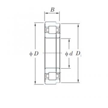 95 mm x 145 mm x 24 mm  KOYO NUP1019 цилиндрические роликоподшипники