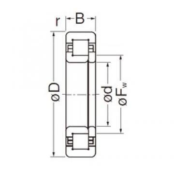 55 mm x 120 mm x 29 mm  NACHI NUP311EG цилиндрические роликоподшипники