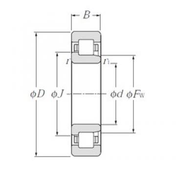 35 mm x 62 mm x 14 mm  NTN NJ1007 цилиндрические роликоподшипники