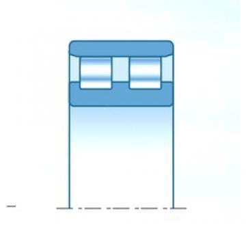 220,000 mm x 440,000 mm x 200,000 mm  NTN 2RNU4413 цилиндрические роликоподшипники