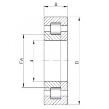 75 mm x 130 mm x 25 mm  ISO NUP215 цилиндрические роликоподшипники