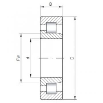 560 mm x 750 mm x 85 mm  ISO NJ19/560 цилиндрические роликоподшипники