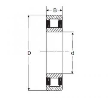 60 mm x 130 mm x 31 mm  SIGMA NU 312 цилиндрические роликоподшипники