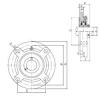 15 mm x 62 mm x 31 mm  ISO UCFC202 подшипниковые узлы