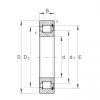 1000 mm x 1220 mm x 100 mm  INA SL1818/1000-E-TB цилиндрические роликоподшипники