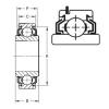 25 mm x 52 mm x 16,75 mm  Timken 205KLLG2 радиальные шарикоподшипники