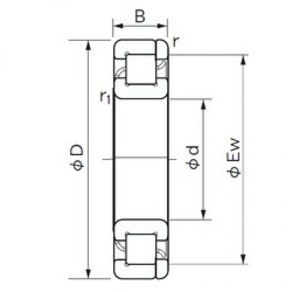 50 mm x 80 mm x 16 mm  NACHI NP 1010 цилиндрические роликоподшипники #1 image