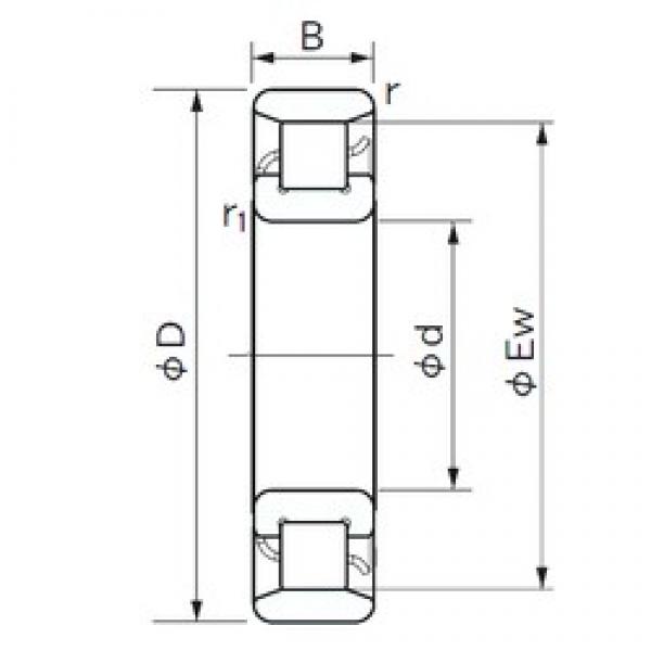 70 mm x 110 mm x 20 mm  NACHI N 1014 цилиндрические роликоподшипники #1 image