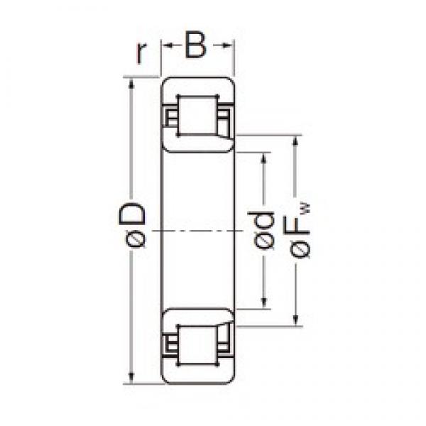 50 mm x 90 mm x 23 mm  NACHI NJ2210EG цилиндрические роликоподшипники #1 image