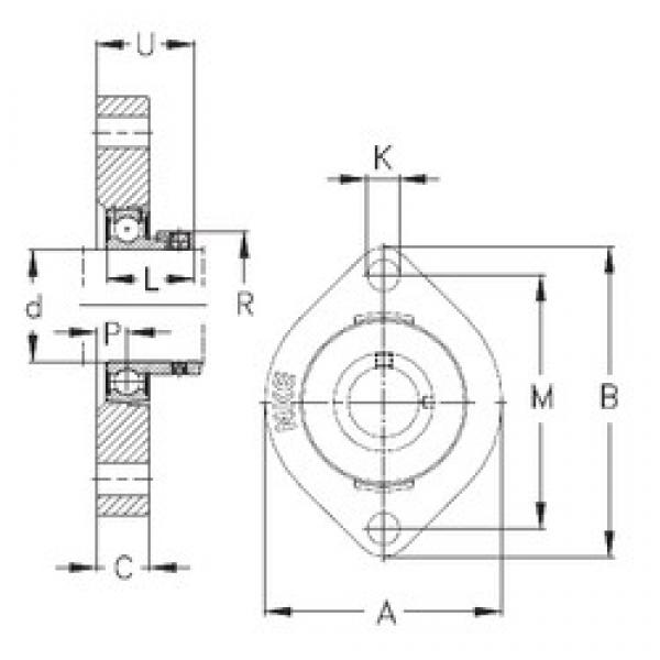 NKE FLCTE15 подшипниковые узлы #1 image