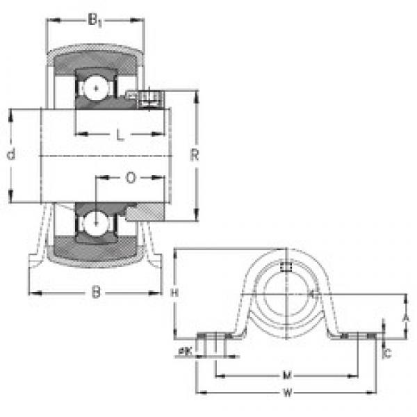 NKE RPB12 подшипниковые узлы #1 image