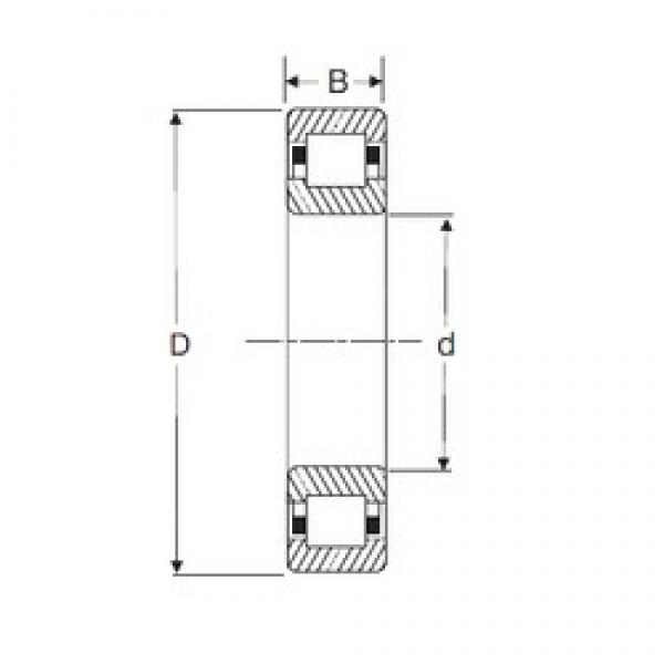 30 mm x 62 mm x 16 mm  SIGMA NUP 206 цилиндрические роликоподшипники #1 image