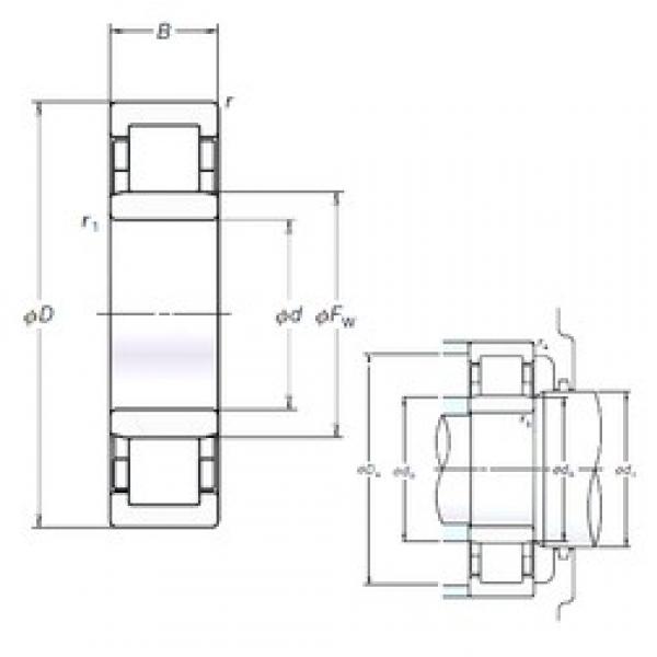 45 mm x 85 mm x 19 mm  NSK NU209EM цилиндрические роликоподшипники #1 image