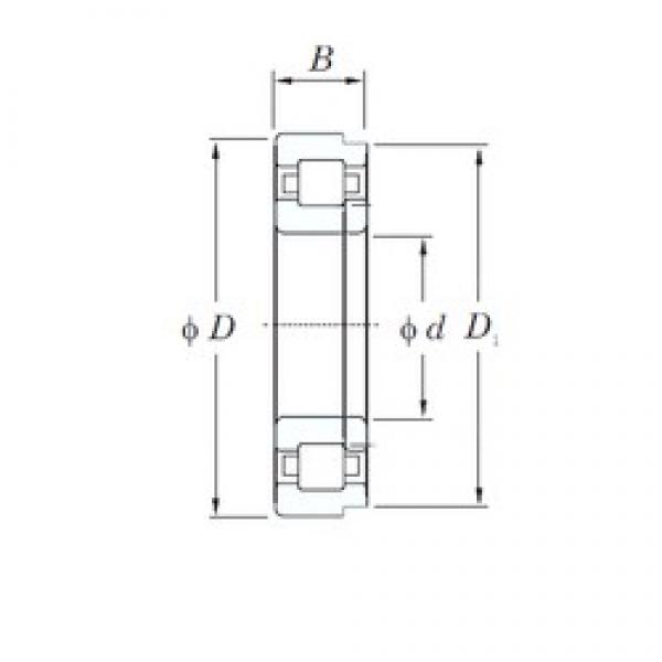 50 mm x 90 mm x 20 mm  KOYO NUP210 цилиндрические роликоподшипники #1 image