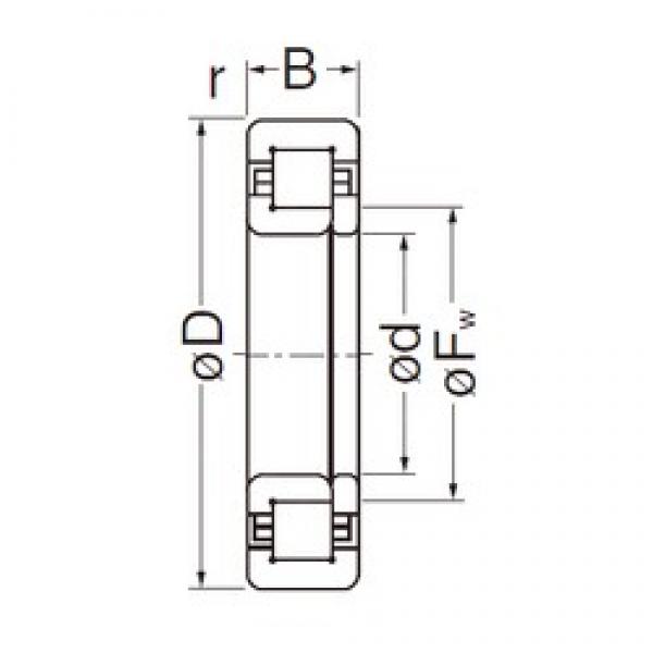 55 mm x 120 mm x 29 mm  NACHI NUP311EG цилиндрические роликоподшипники #1 image