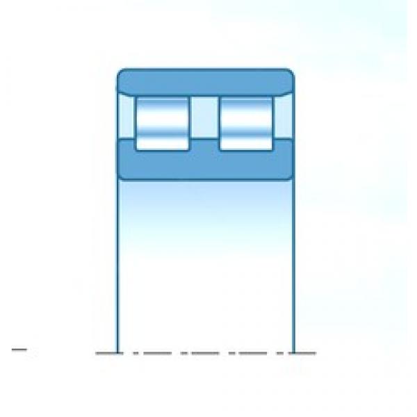 220,000 mm x 440,000 mm x 200,000 mm  NTN 2RNU4413 цилиндрические роликоподшипники #1 image