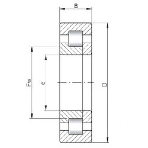 75 mm x 130 mm x 25 mm  ISO NUP215 цилиндрические роликоподшипники #1 image