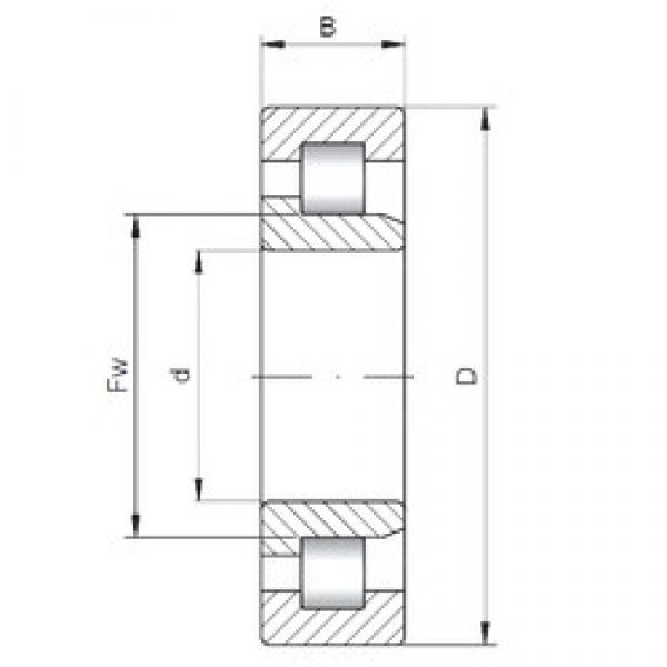 560 mm x 750 mm x 85 mm  ISO NJ19/560 цилиндрические роликоподшипники #1 image