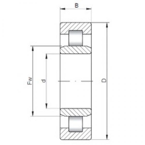 95 mm x 200 mm x 45 mm  ISO NU319 цилиндрические роликоподшипники #1 image