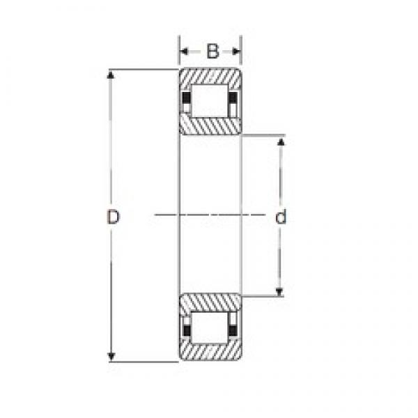 45 mm x 100 mm x 36 mm  SIGMA NJ 2309 цилиндрические роликоподшипники #1 image