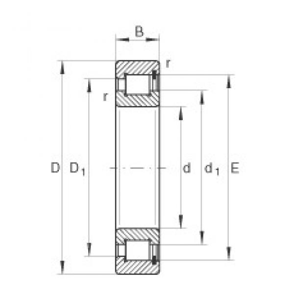 1000 mm x 1220 mm x 100 mm  INA SL1818/1000-E-TB цилиндрические роликоподшипники #1 image