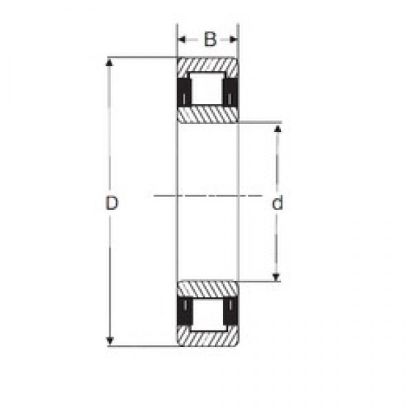 60 mm x 130 mm x 31 mm  SIGMA NU 312 цилиндрические роликоподшипники #1 image