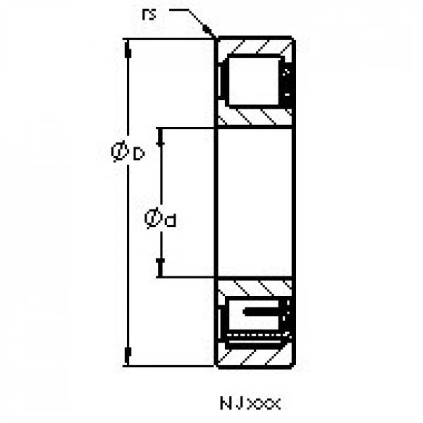 AST NJ204 EM6 цилиндрические роликоподшипники #1 image