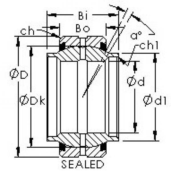 AST GEWZ34ES-2RS подшипники скольжения #1 image